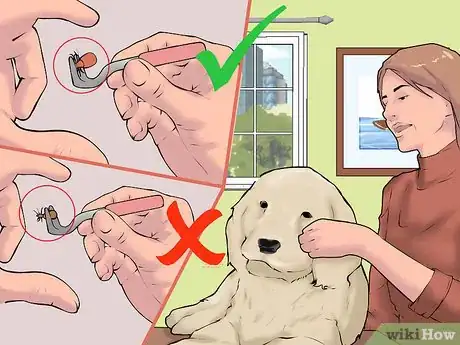 Image titled Reduce Your Lyme Disease Risk Step 13