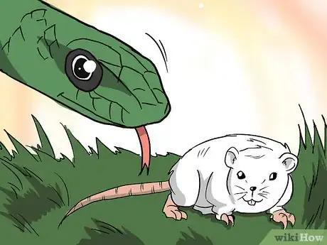 Image titled Choose Your First Pet Snake Step 10Bullet2