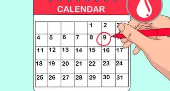 Handle Mothball Poisoning in Cats