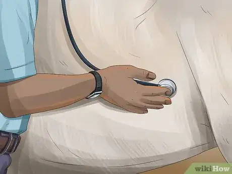 Image titled Prevent Botulism in Horses Step 13