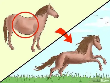 Image titled Prevent a Horse From Colicking Step 3