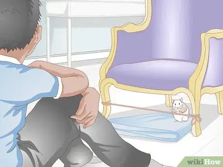 Image titled Train a Hamster or a Mouse to Walk on a Tightrope Step 9