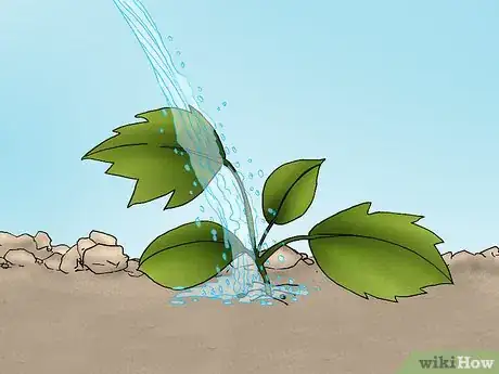 Image titled Grow Deadly Monkshood Step 6