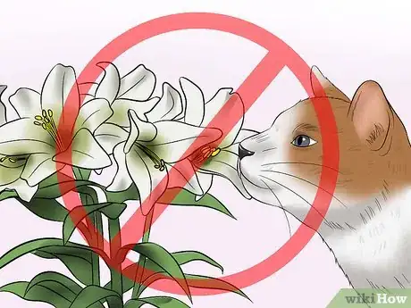 Image titled Protect Your Cat from Household Hazards Step 1