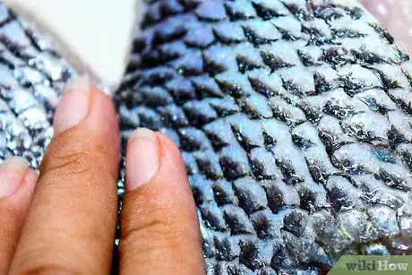 Image titled Cook Dinengdeng Step 1