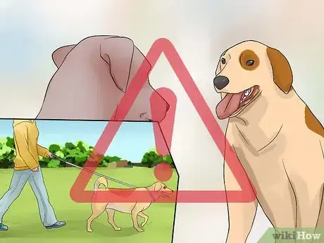 Image titled Prevent Dog Flu Step 1