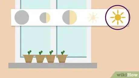 Image titled Plant Seeds in a Basic Seed Tray Step 15