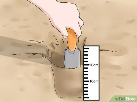 Image titled Make a Bulb Garden Step 16