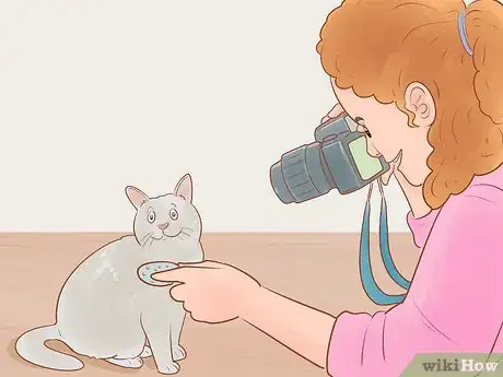 Image titled Take Action Photos of a Cat Step 15
