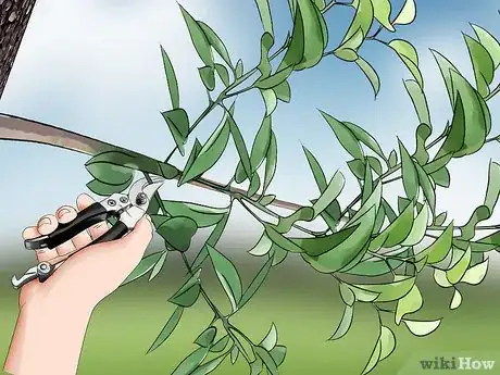 Image titled Kill Leaf Footed Bugs Step 12