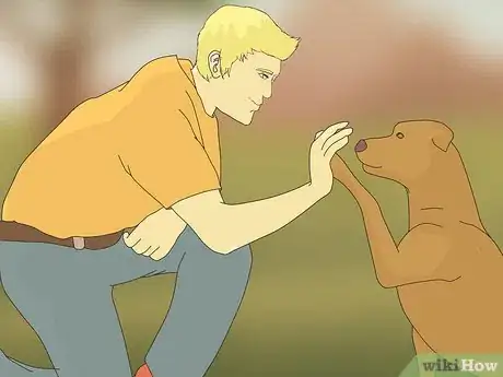 Image titled Become an RSPCA Inspector Step 8