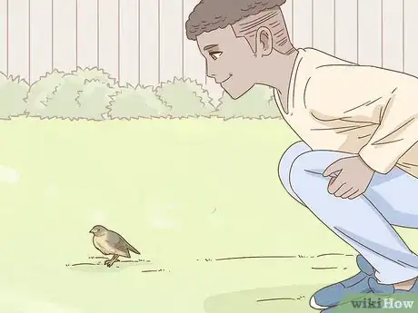 Image titled Help a Fallen Fledgling Step 7