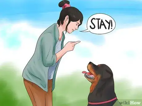 Image titled Become Your Dogs' Playmate Step 5