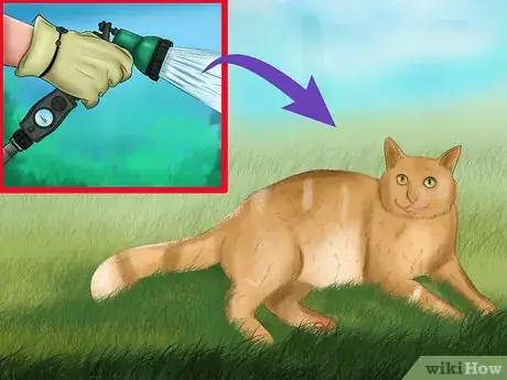 Image titled Protect an Outdoor Cat from Excess Sunlight Step 12