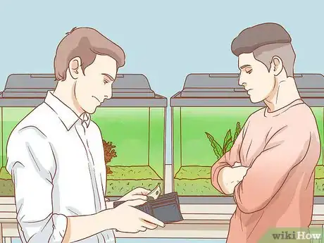 Image titled Help Pet Shop Bettas Step 6