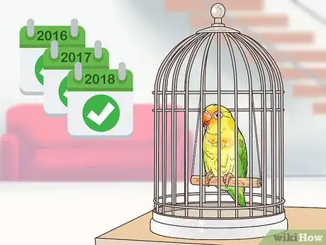 Image titled Treat Lovebirds with Psittacine Beak and Feather Disease Step 13