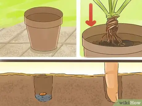 Image titled Make a Small Vegetable Garden Step 11