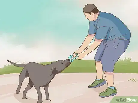 Image titled Have Fun While You're Walking Your Dog Step 12