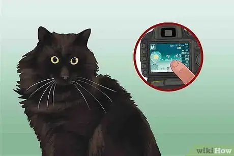 Image titled Take Photos of Adoptable Cats Step 12