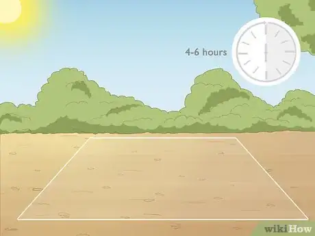 Image titled Plant Spider Lily Bulbs Step 4