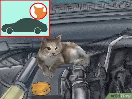 Image titled Get a Cat Used to Snow Step 8