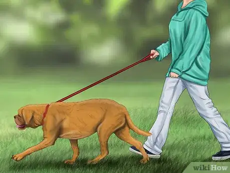Image titled Approach an Unfamiliar Dog Step 19