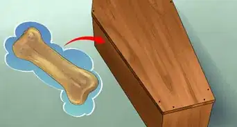 Treat a Dog with Osteosarcoma