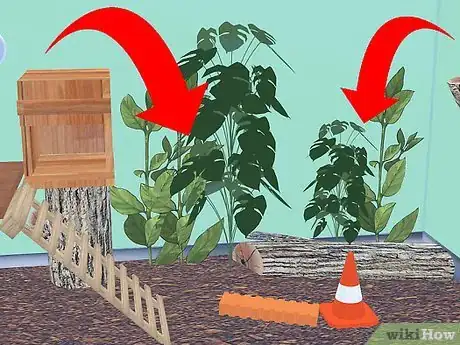 Image titled Furnish a Vivarium for Your Exotic Rodent Step 10