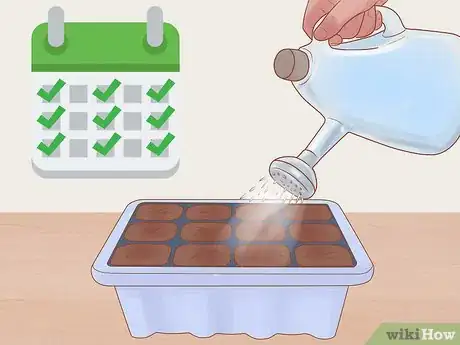 Image titled Grow Red Onions Step 2