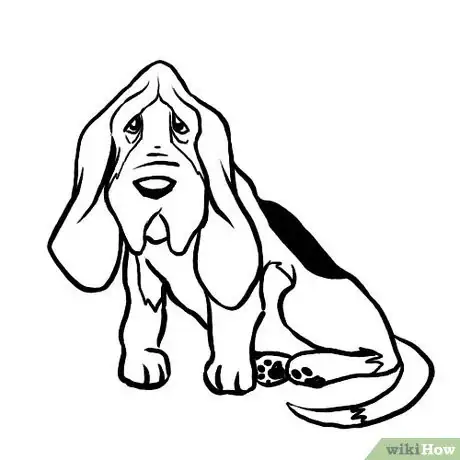Image titled Basset hound erase Step 7