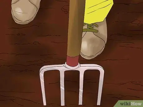 Image titled Overwinter Dahlias Step 3