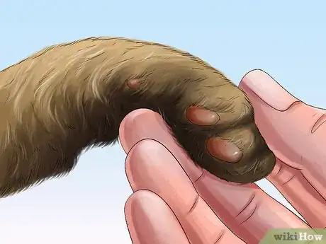 Image titled Protect Your Cat in Summer Step 13