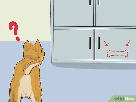 Image titled Have a Fun Day with Your Dog Step 8