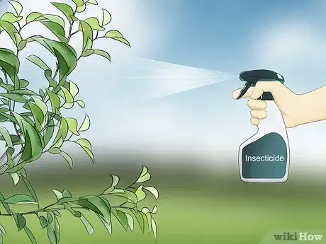 Image titled Kill Leaf Footed Bugs Step 15