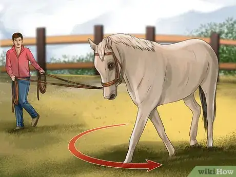 Image titled Round Pen a Horse Step 12