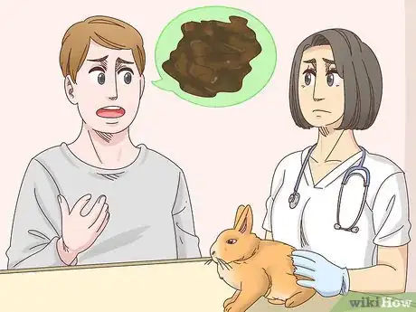 Image titled Treat Diarrhea in Rabbits Step 2