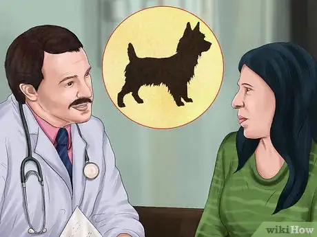 Image titled Care for an Australian Terrier Step 5