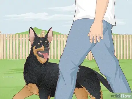 Image titled Have Healthy Relationships with Animals Step 6