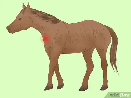 Image titled Measure for a Horse Blanket Step 3