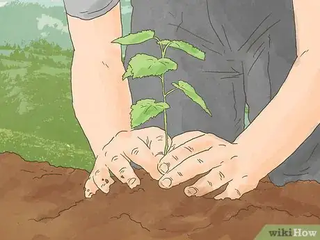 Image titled Adjust to Retirement Step 12