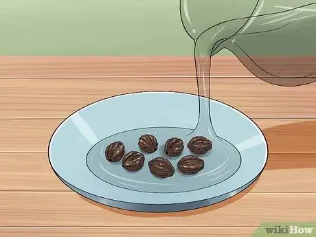 Image titled Grow Four O' Clock Flowers Step 8