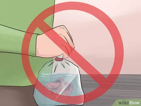Image titled Transport Fish Step 5