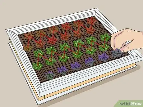 Image titled Plant a Living Picture with Plants Step 11
