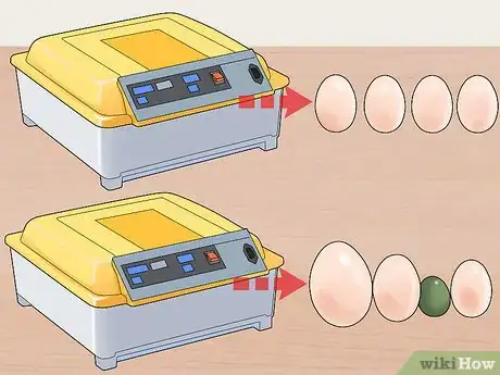 Image titled Buy an Egg Incubator Step 1