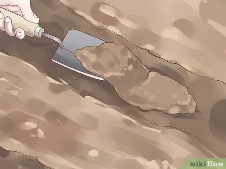 Image titled Grow Chives Step 7