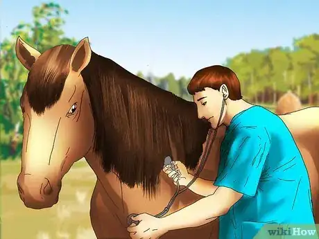Image titled Care for a Blind Horse Step 7