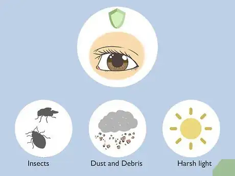 Image titled Treat Droopy Eyelids Step 5