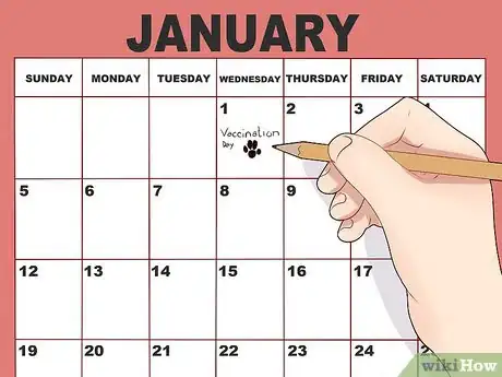 Image titled Stay Updated on Dog Vaccinations Step 7