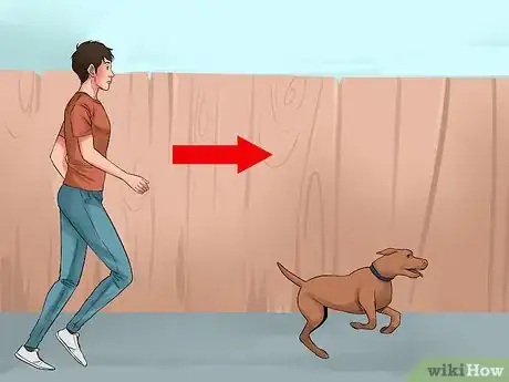 Image titled Catch a Runaway Dog Step 1