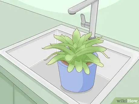 Image titled Create Humidity for Indoor Plants Step 2